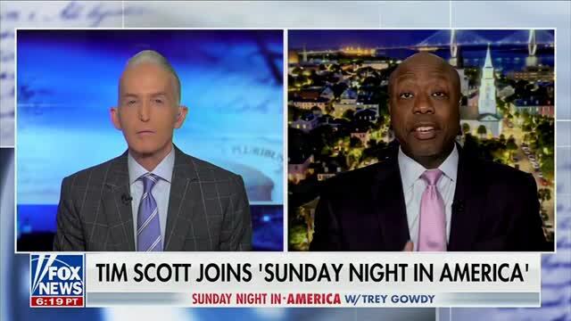 Trey Gowdy: ‘I Did Not Think the ‘D’ in DEI Stood for Disabled’